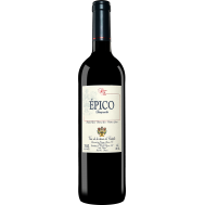 Вино Доминио де Эгурен, Эпико, 2020