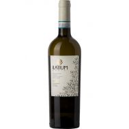 Вино Соаве DOC Латиум Морини 0.75